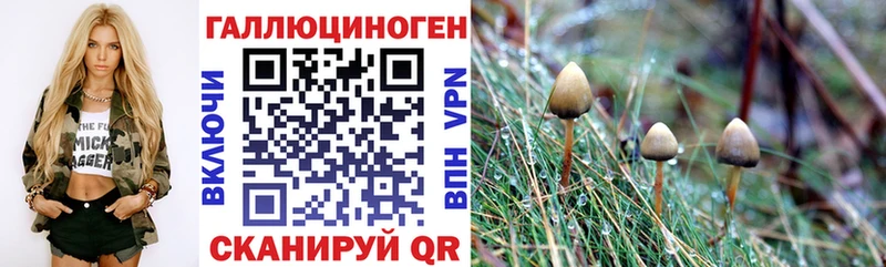 Галлюциногенные грибы Magic Shrooms  Сибай 